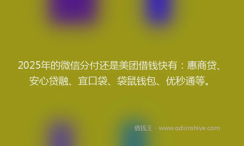 2025年的微信分付还是美团借钱快有：惠商贷、安心贷融、宜口袋、袋鼠钱包、优秒通等。