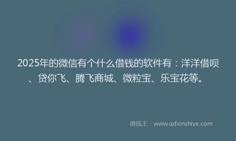 2025年的微信有个什么借钱的软件有：洋洋借呗、贷你飞、腾飞商城、微粒宝、乐宝花等。