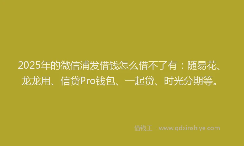 2025年的微信浦发借钱怎么借不了有：随易花、龙龙用、信贷Pro钱包、一起贷、时光分期等。