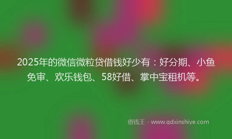 2025年的微信微粒贷借钱好少有：好分期、小鱼免审、欢乐钱包、58好借、掌中宝租机等。