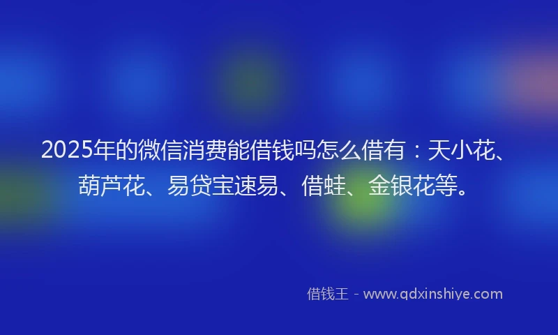 2025年的微信消费能借钱吗怎么借有：天小花、葫芦花、易贷宝速易、借蛙、金银花等。