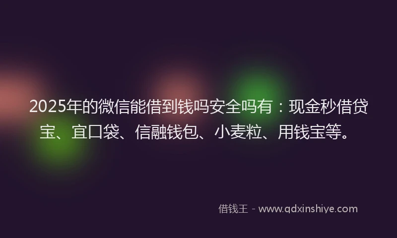 2025年的微信能借到钱吗安全吗有：现金秒借贷宝、宜口袋、信融钱包、小麦粒、用钱宝等。