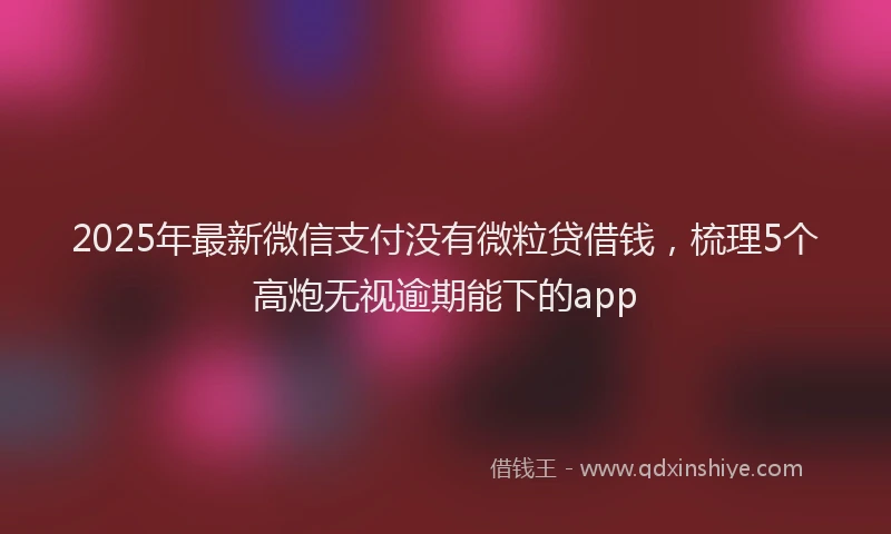 2025年最新微信支付没有微粒贷借钱，梳理5个高炮无视逾期能下的app