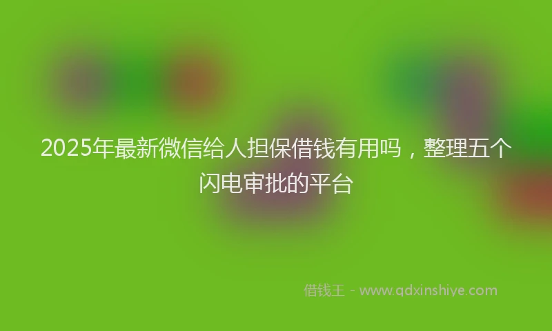 2025年最新微信给人担保借钱有用吗，整理五个闪电审批的平台