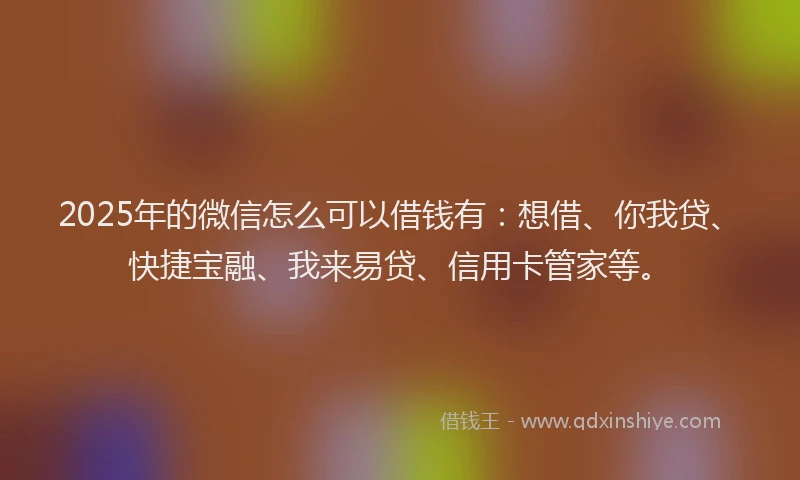 2025年的微信怎么可以借钱有：想借、你我贷、快捷宝融、我来易贷、信用卡管家等。