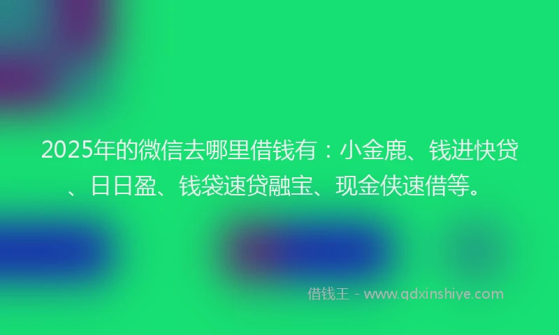 2025年的微信去哪里借钱有：小金鹿、钱进快贷、日日盈、钱袋速贷融宝、现金侠速借等。