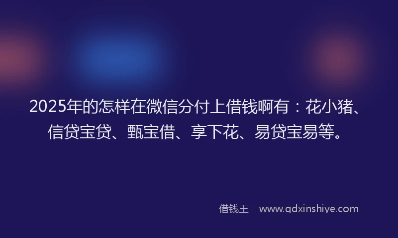 2025年的怎样在微信分付上借钱啊有：花小猪、信贷宝贷、甄宝借、享下花、易贷宝易等。