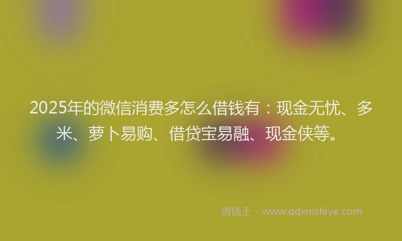 2025年的微信消费多怎么借钱有：现金无忧、多米、萝卜易购、借贷宝易融、现金侠等。