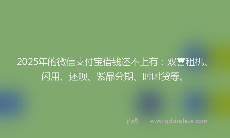 2025年的微信支付宝借钱还不上有：双喜租机、闪用、还呗、紫晶分期、时时贷等。