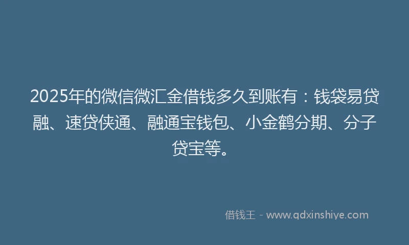 2025年的微信微汇金借钱多久到账有：钱袋易贷融、速贷侠通、融通宝钱包、小金鹤分期、分子贷宝等。