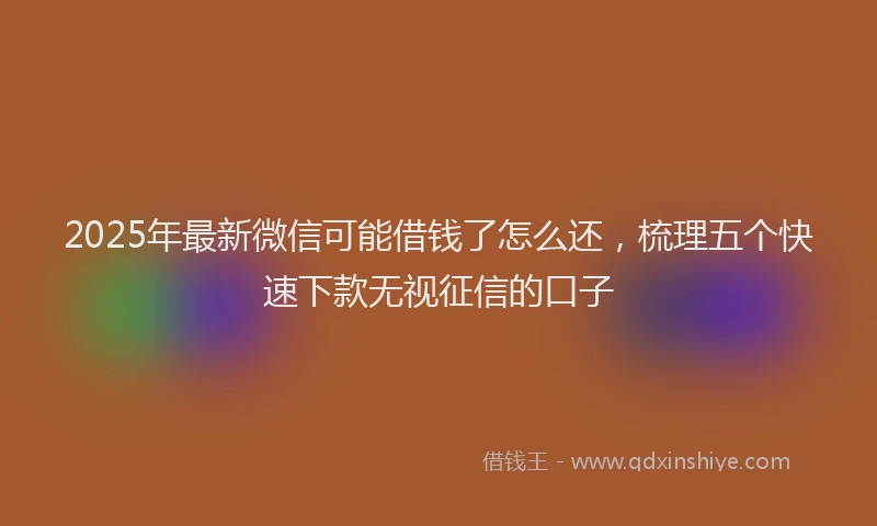 2025年最新微信可能借钱了怎么还，梳理五个快速下款无视征信的口子