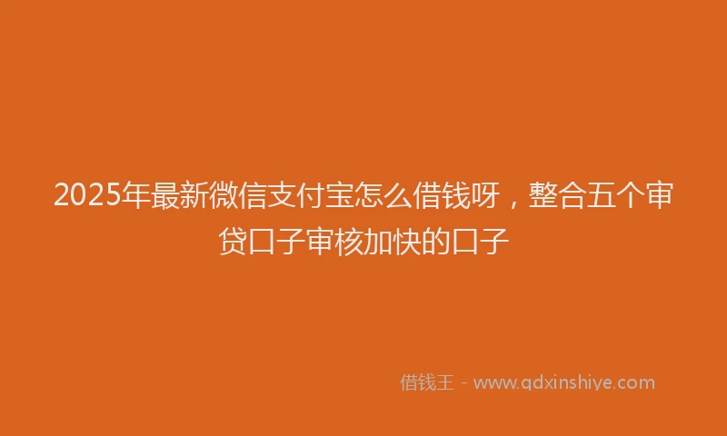 2025年最新微信支付宝怎么借钱呀，整合五个审贷口子审核加快的口子