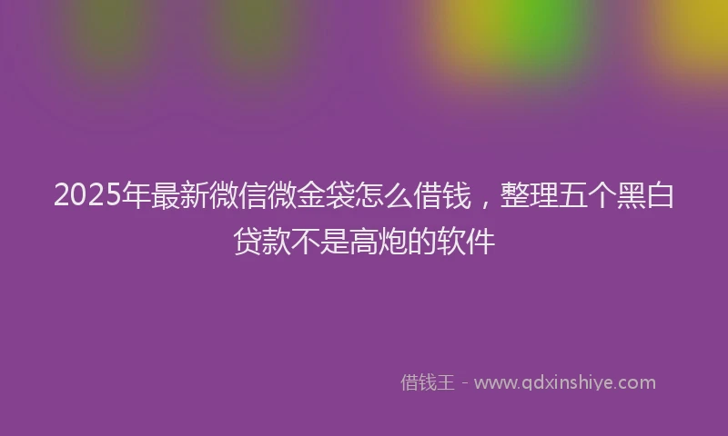 2025年最新微信微金袋怎么借钱，整理五个黑白贷款不是高炮的软件
