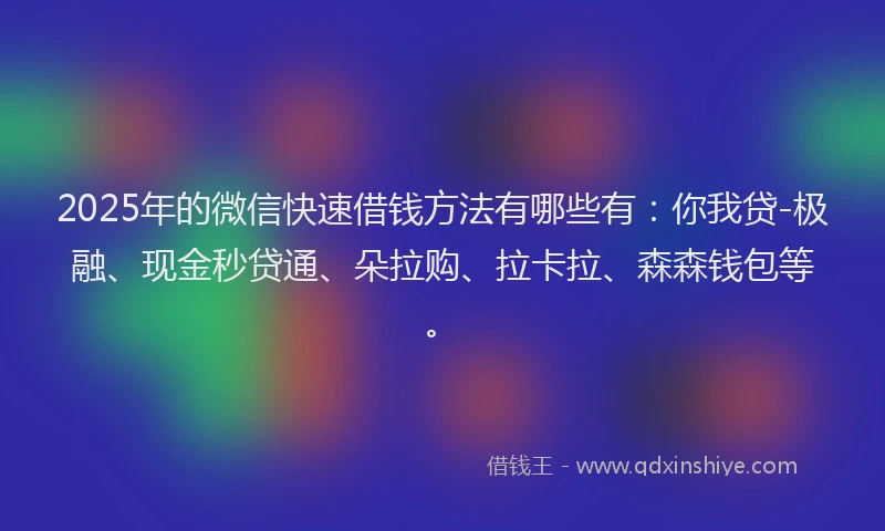 2025年的微信快速借钱方法有哪些有：你我贷-极融、现金秒贷通、朵拉购、拉卡拉、森森钱包等。
