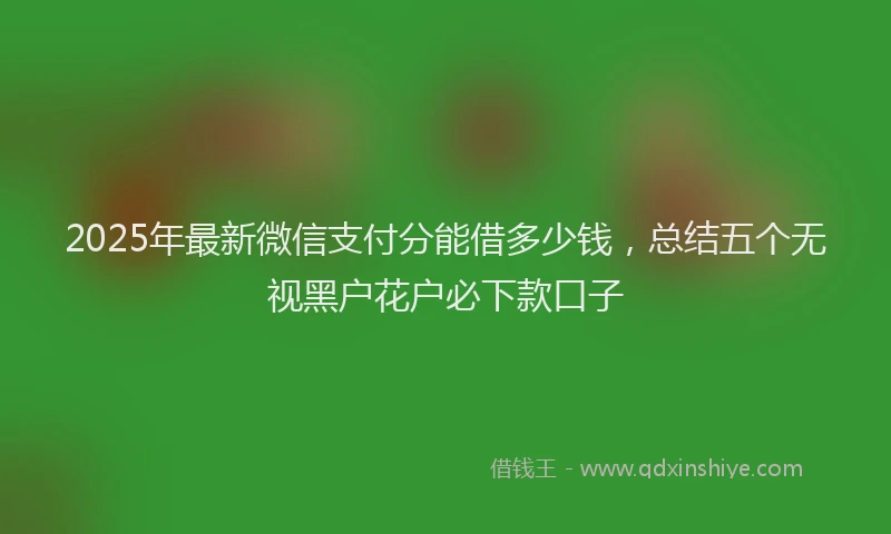 2025年最新微信支付分能借多少钱，总结五个无视黑户花户必下款口子