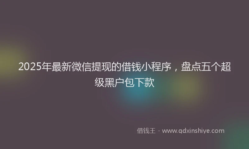 2025年最新微信提现的借钱小程序，盘点五个超级黑户包下款