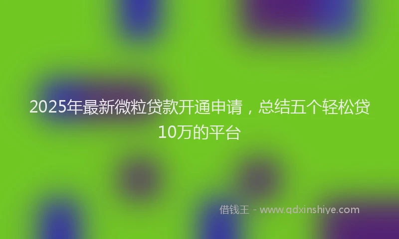 2025年最新微粒贷款开通申请，总结五个轻松贷10万的平台