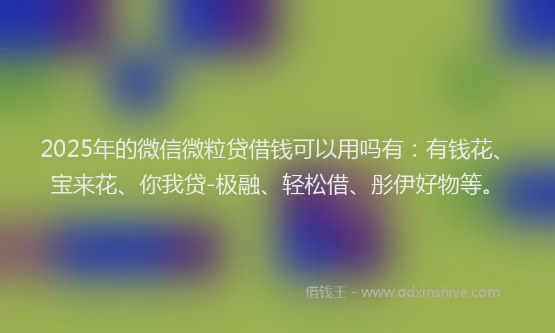 2025年的微信微粒贷借钱可以用吗有：有钱花、宝来花、你我贷-极融、轻松借、彤伊好物等。
