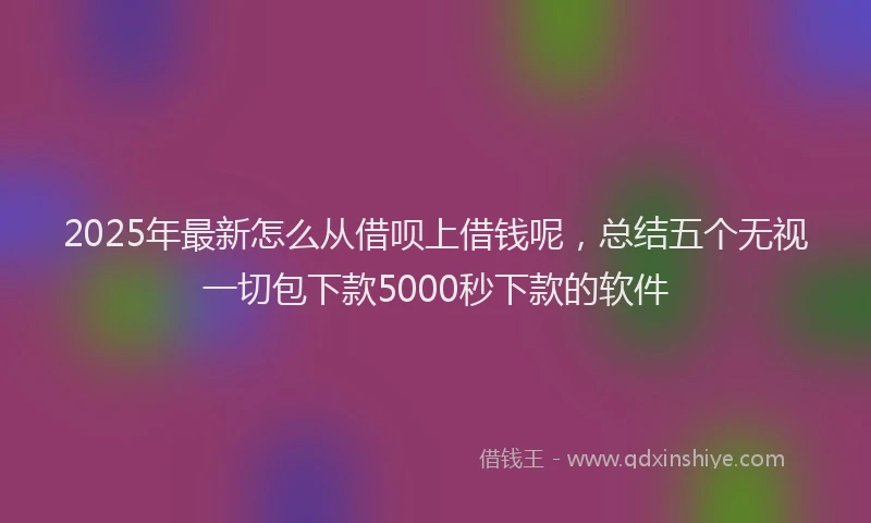 2025年最新怎么从借呗上借钱呢，总结五个无视一切包下款5000秒下款的软件