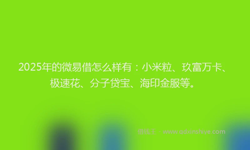 2025年的微易借怎么样有：小米粒、玖富万卡、极速花、分子贷宝、海印金服等。