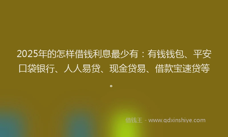 2025年的怎样借钱利息最少有：有钱钱包、平安口袋银行、人人易贷、现金贷易、借款宝速贷等。