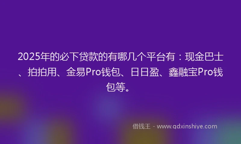 2025年的必下贷款的有哪几个平台有：现金巴士、拍拍用、金易Pro钱包、日日盈、鑫融宝Pro钱包等。