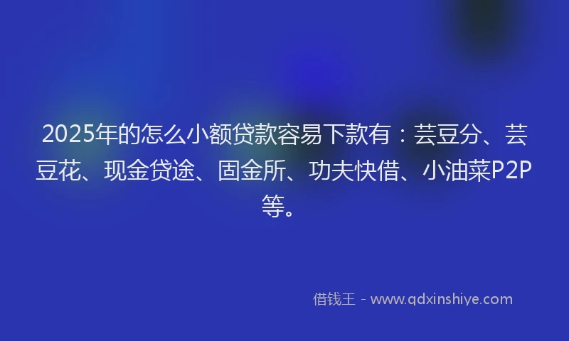 2025年的怎么小额贷款容易下款有：芸豆分、芸豆花、现金贷途、固金所、功夫快借、小油菜P2P等。