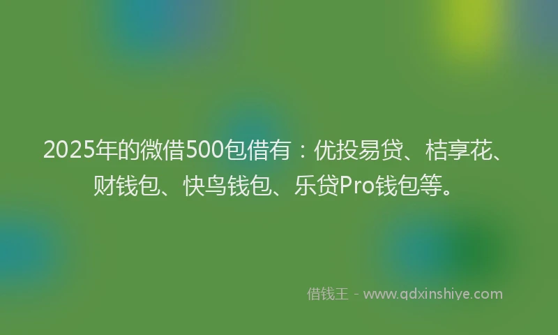 2025年的微借500包借有：优投易贷、桔享花、财钱包、快鸟钱包、乐贷Pro钱包等。
