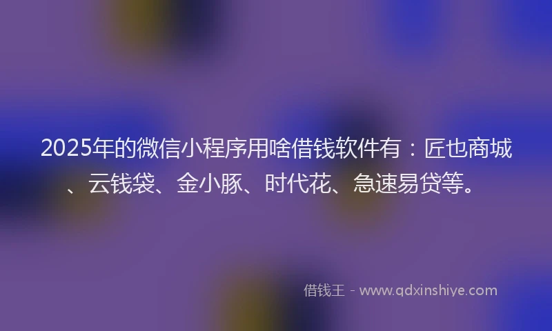 2025年的微信小程序用啥借钱软件有：匠也商城、云钱袋、金小豚、时代花、急速易贷等。