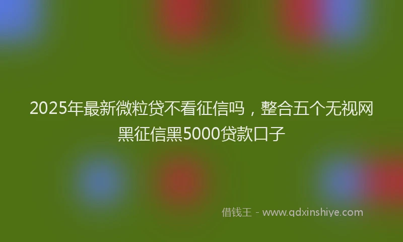 2025年最新微粒贷不看征信吗，整合五个无视网黑征信黑5000贷款口子