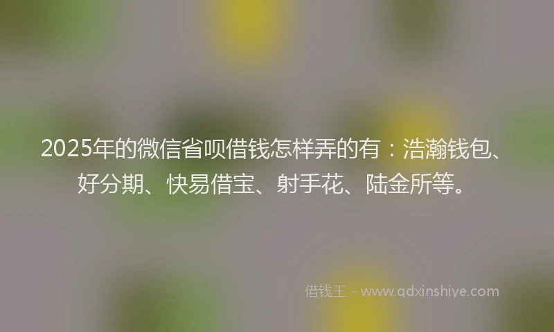 2025年的微信省呗借钱怎样弄的有：浩瀚钱包、好分期、快易借宝、射手花、陆金所等。