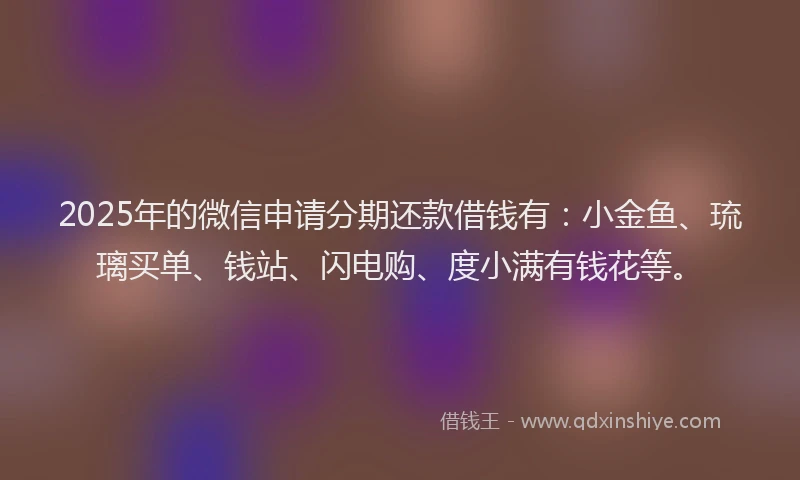 2025年的微信申请分期还款借钱有：小金鱼、琉璃买单、钱站、闪电购、度小满有钱花等。