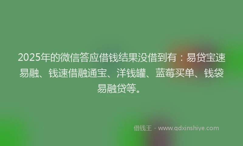2025年的微信答应借钱结果没借到有：易贷宝速易融、钱速借融通宝、洋钱罐、蓝莓买单、钱袋易融贷等。