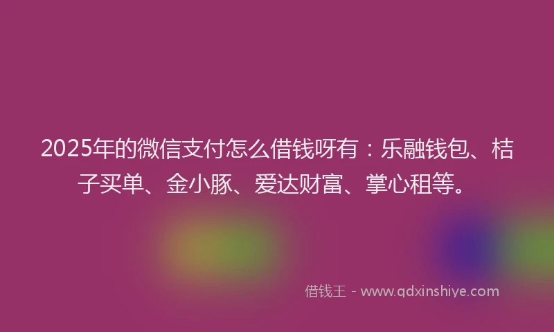 2025年的微信支付怎么借钱呀有：乐融钱包、桔子买单、金小豚、爱达财富、掌心租等。