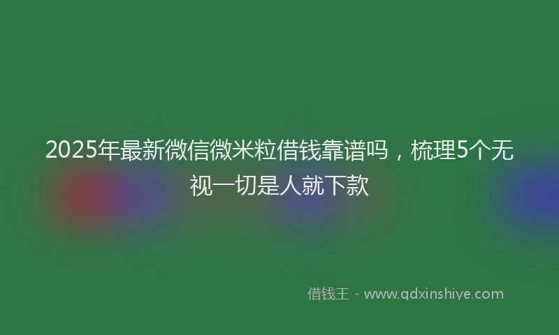 2025年最新微信微米粒借钱靠谱吗，梳理5个无视一切是人就下款