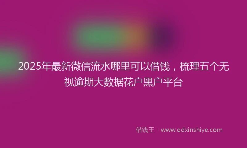 2025年最新微信流水哪里可以借钱，梳理五个无视逾期大数据花户黑户平台