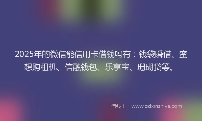 2025年的微信能信用卡借钱吗有：钱袋瞬借、蛮想购租机、信融钱包、乐享宝、珊瑚贷等。