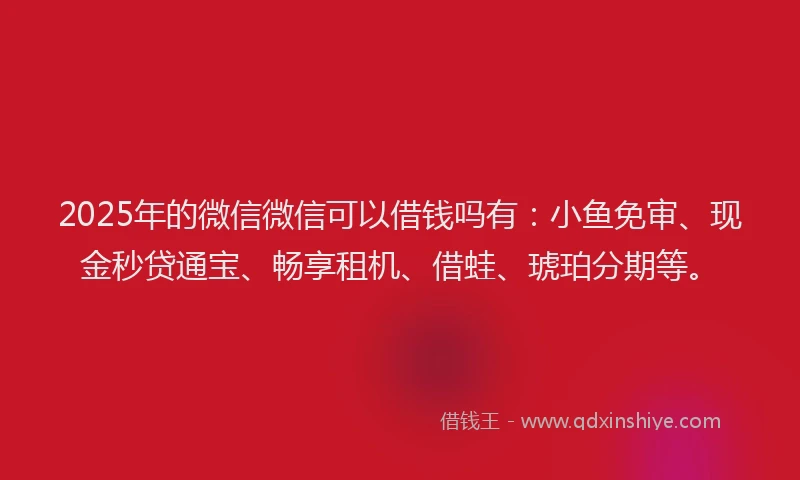 2025年的微信微信可以借钱吗有：小鱼免审、现金秒贷通宝、畅享租机、借蛙、琥珀分期等。