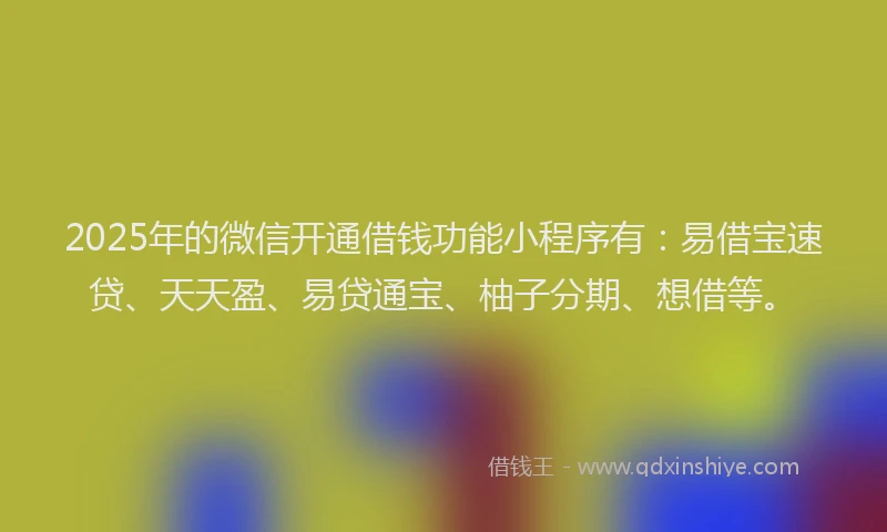 2025年的微信开通借钱功能小程序有：易借宝速贷、天天盈、易贷通宝、柚子分期、想借等。
