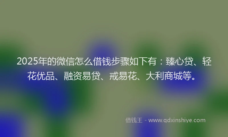 2025年的微信怎么借钱步骤如下有：臻心贷、轻花优品、融资易贷、戒易花、大利商城等。
