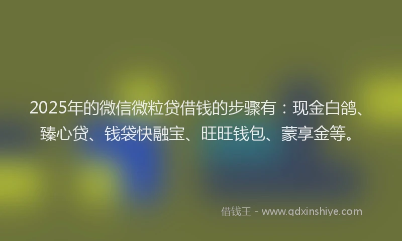 2025年的微信微粒贷借钱的步骤有：现金白鸽、臻心贷、钱袋快融宝、旺旺钱包、蒙享金等。