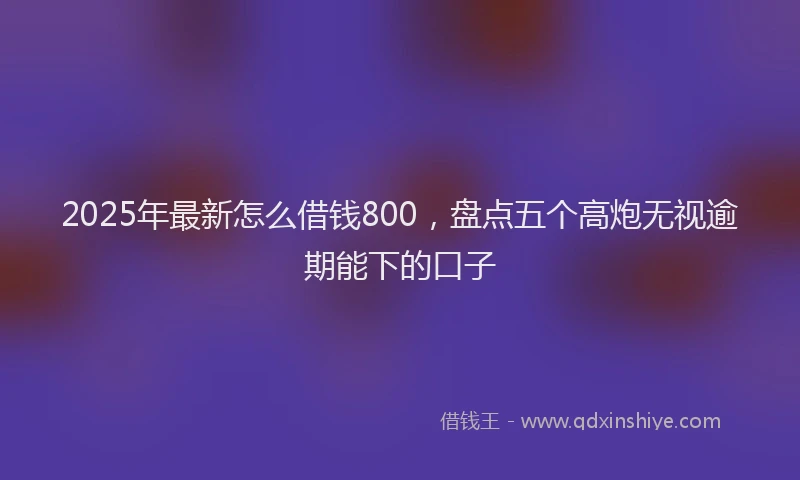 2025年最新怎么借钱800，盘点五个高炮无视逾期能下的口子