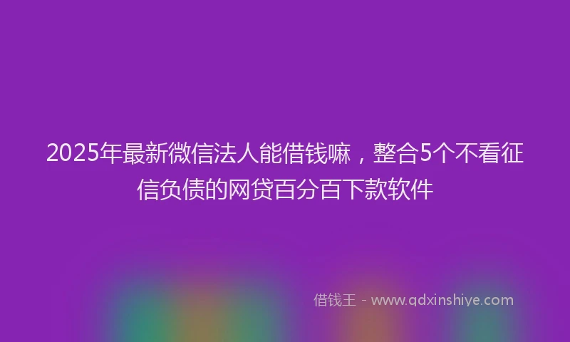 2025年最新微信法人能借钱嘛，整合5个不看征信负债的网贷百分百下款软件