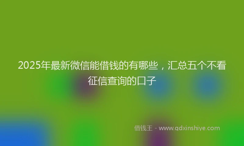 2025年最新微信能借钱的有哪些，汇总五个不看征信查询的口子