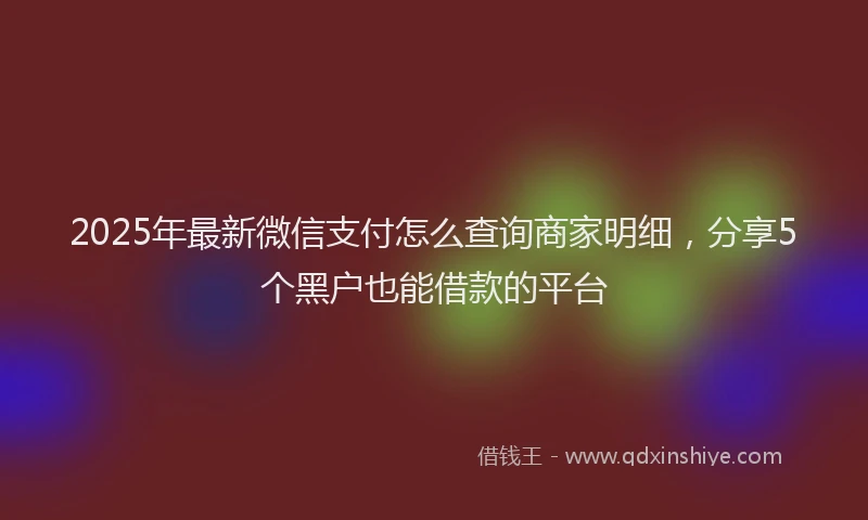 2025年最新微信支付怎么查询商家明细，分享5个黑户也能借款的平台