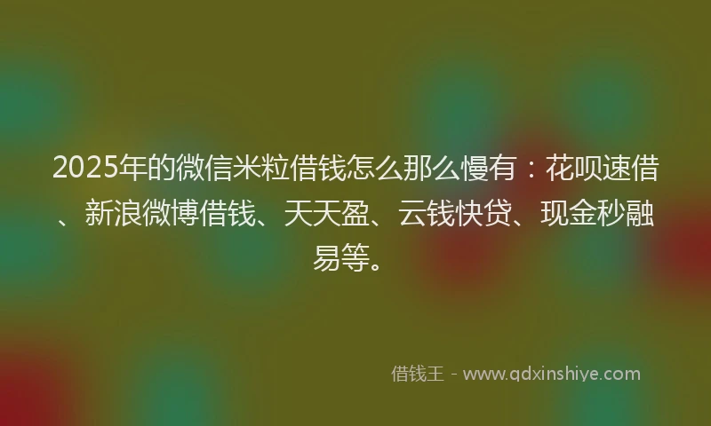 2025年的微信米粒借钱怎么那么慢有：花呗速借、新浪微博借钱、天天盈、云钱快贷、现金秒融易等。