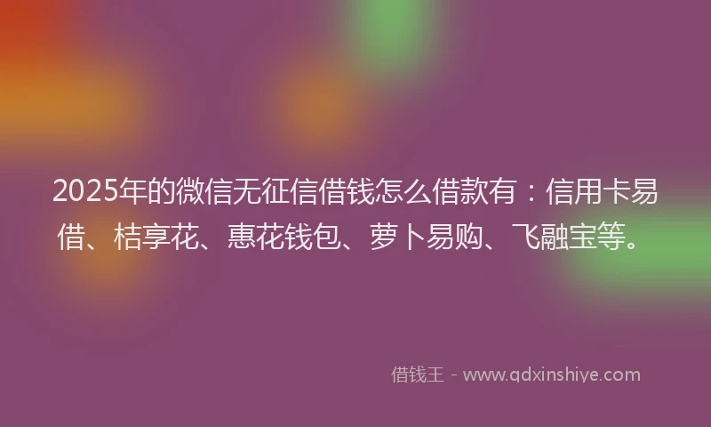 2025年的微信无征信借钱怎么借款有：信用卡易借、桔享花、惠花钱包、萝卜易购、飞融宝等。