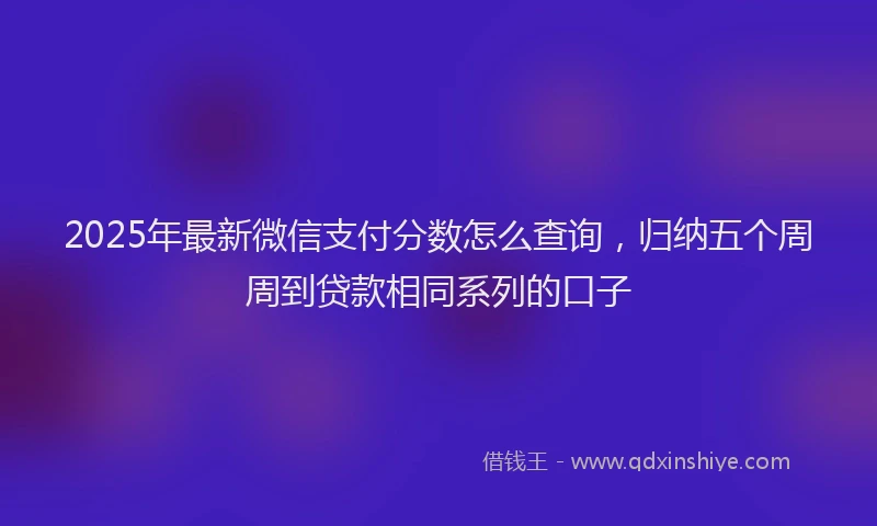 2025年最新微信支付分数怎么查询，归纳五个周周到贷款相同系列的口子