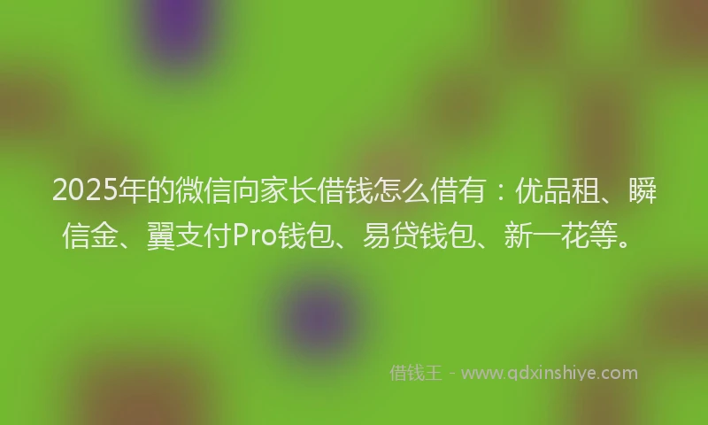 2025年的微信向家长借钱怎么借有：优品租、瞬信金、翼支付Pro钱包、易贷钱包、新一花等。