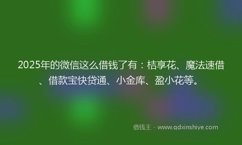 2025年的微信这么借钱了有：桔享花、魔法速借、借款宝快贷通、小金库、盈小花等。